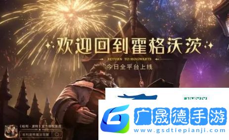 哈利波特魔法覺醒針對(duì)龍蛋流怎么配