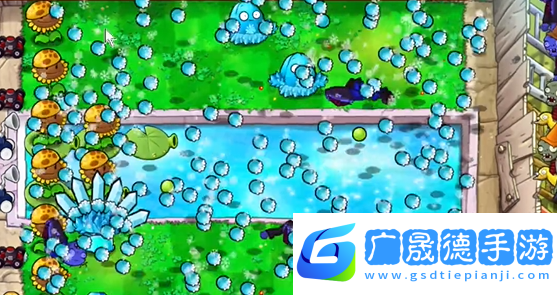 植物大戰(zhàn)僵尸雜交版泳池防守第五關(guān)怎么過植物大戰(zhàn)僵尸雜交版泳池防守第5關(guān)攻略