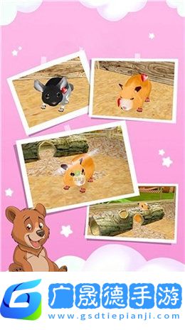 動(dòng)物狂歡樂園